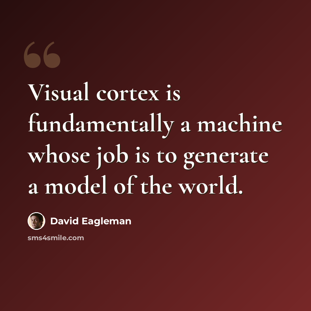“Visual cortex is fundamentally a machine whose job is to generate a model of the world.” quote by David Eagleman