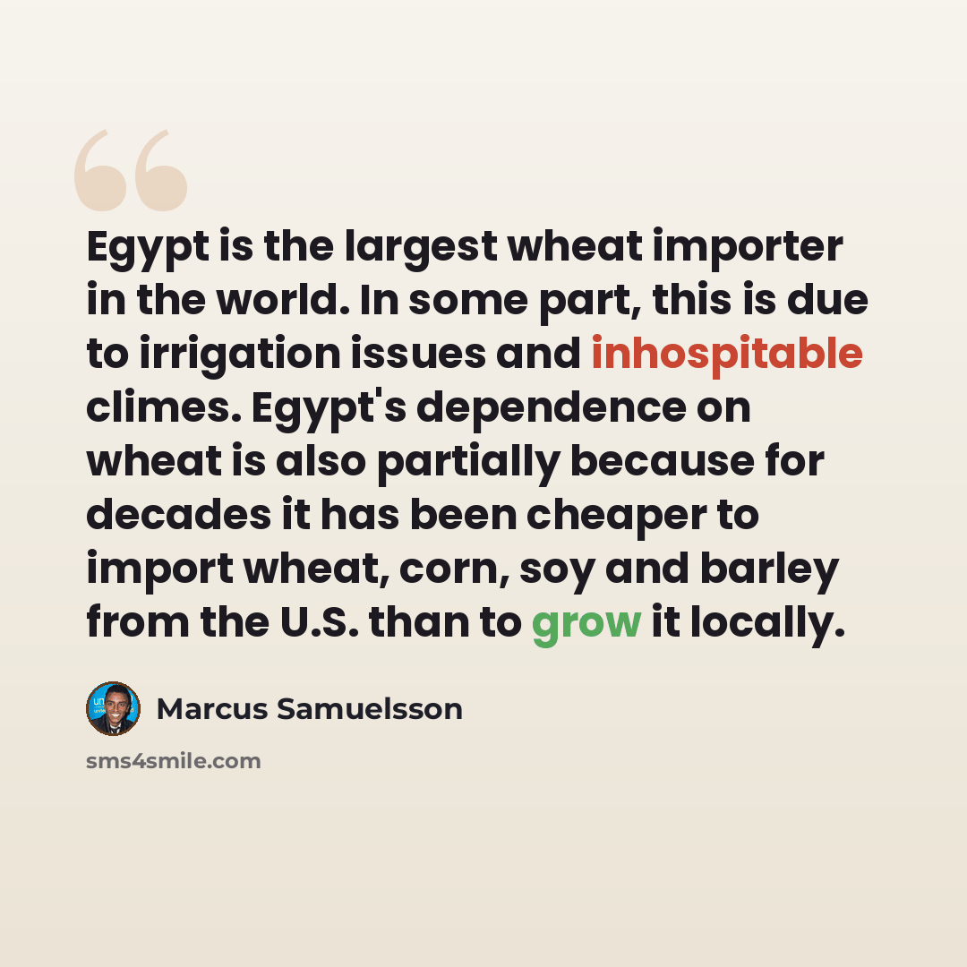 “Egypt is the largest wheat importer in the world. In some part, this is due to irrigation issues and inhospitable climes. Egypt's dependence on wheat is also partially because for decades it has been cheaper to import wheat, corn, soy and barley from the U.S. than to grow it locally.” quote by Marcus Samuelsson