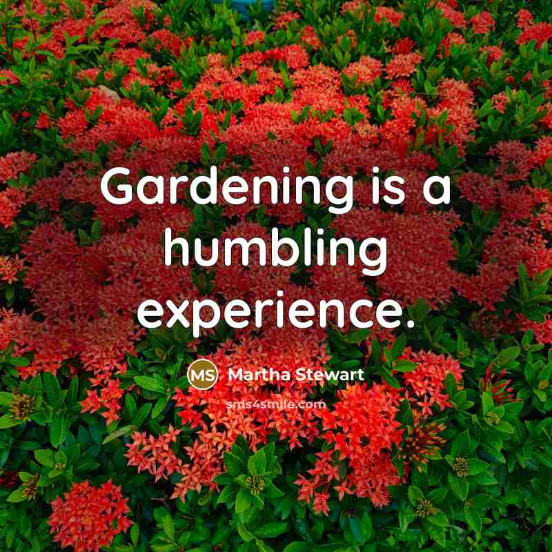 “Gardening is a humbling experience.” quote by Martha Stewart