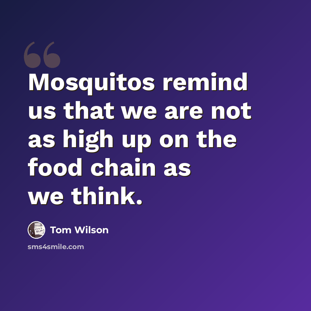 “Mosquitos remind us that we are not as high up on the food chain as we think.” quote by Tom Wilson