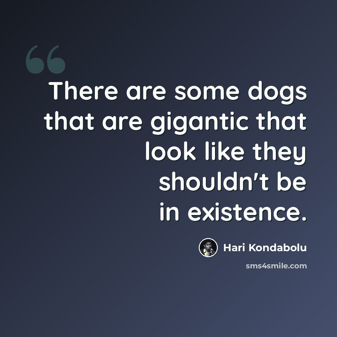 “There are some dogs that are gigantic that look like they shouldn't be in existence.” quote by Hari Kondabolu