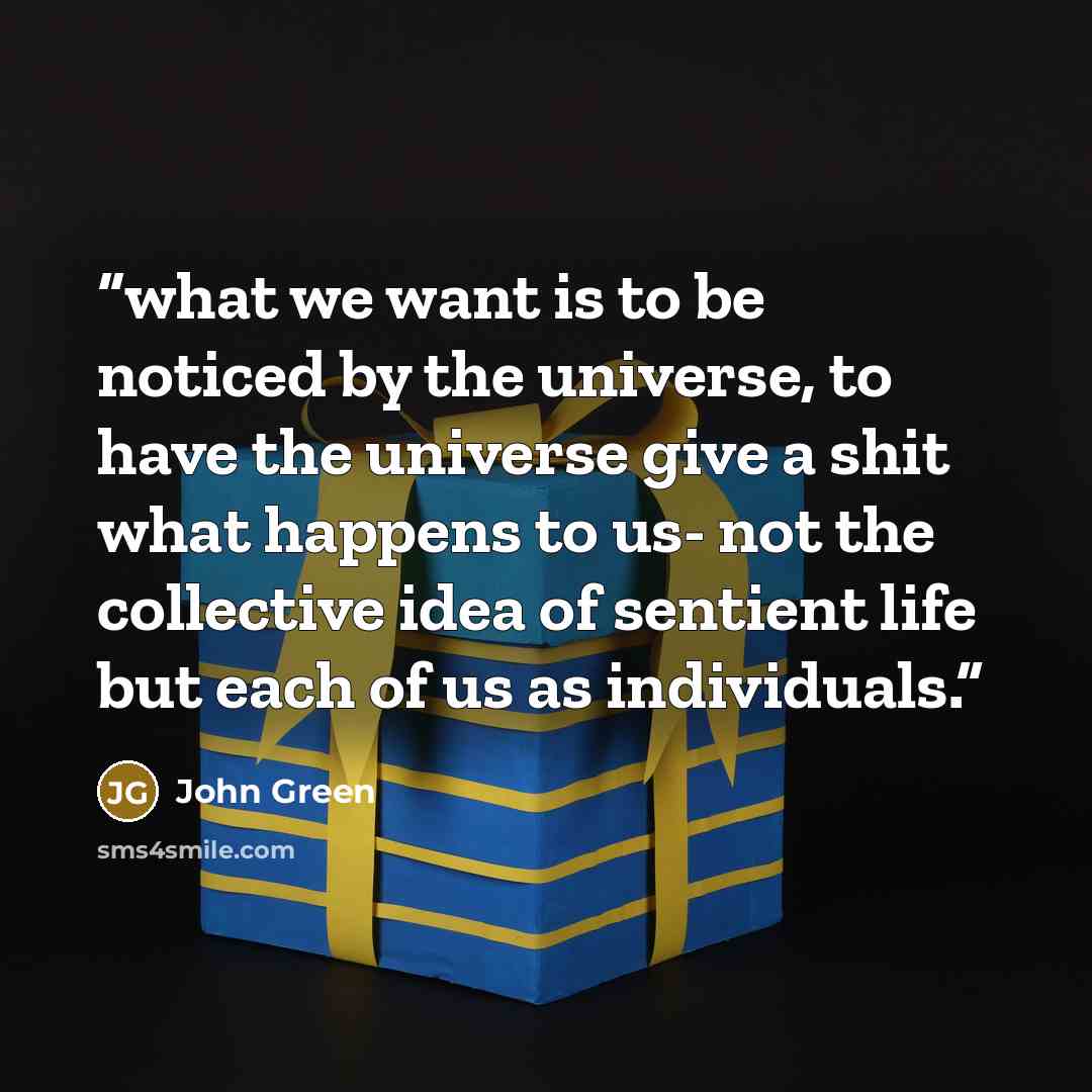 “what we want is to be noticed by the universe, to have the universe give a shit what happens to us- not the collective idea of sentient life but each of us as individuals.” quote by John Green