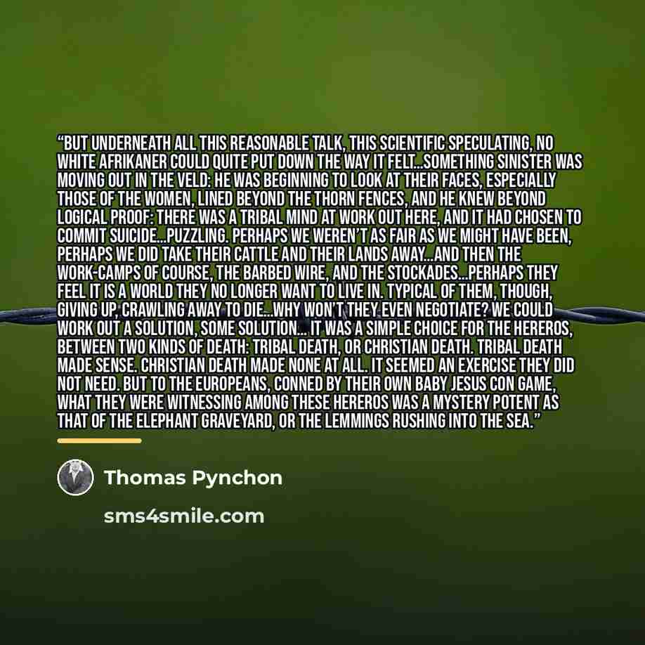 “But underneath all this reasonable talk, this scientific speculating, no white Afrikaner could quite put down the way it felt…Something sinister was moving out in the veld: he was beginning to look at their faces, especially those of the women, lined beyond the thorn fences, and he knew beyond…” quote by Thomas Pynchon