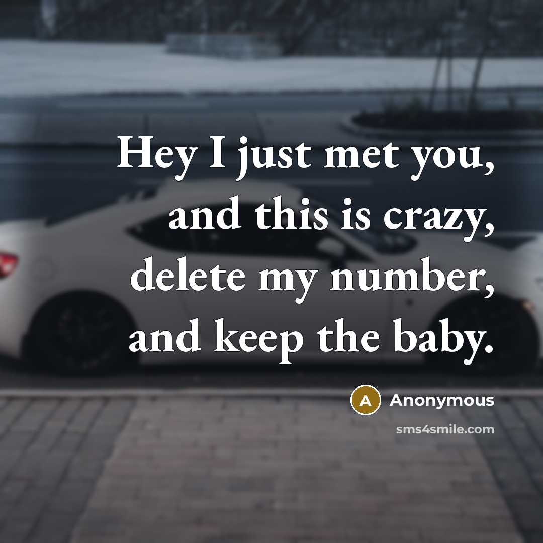 “Hey I just met you, and this is crazy, delete my number, and keep the baby.” quote by Anonymous
