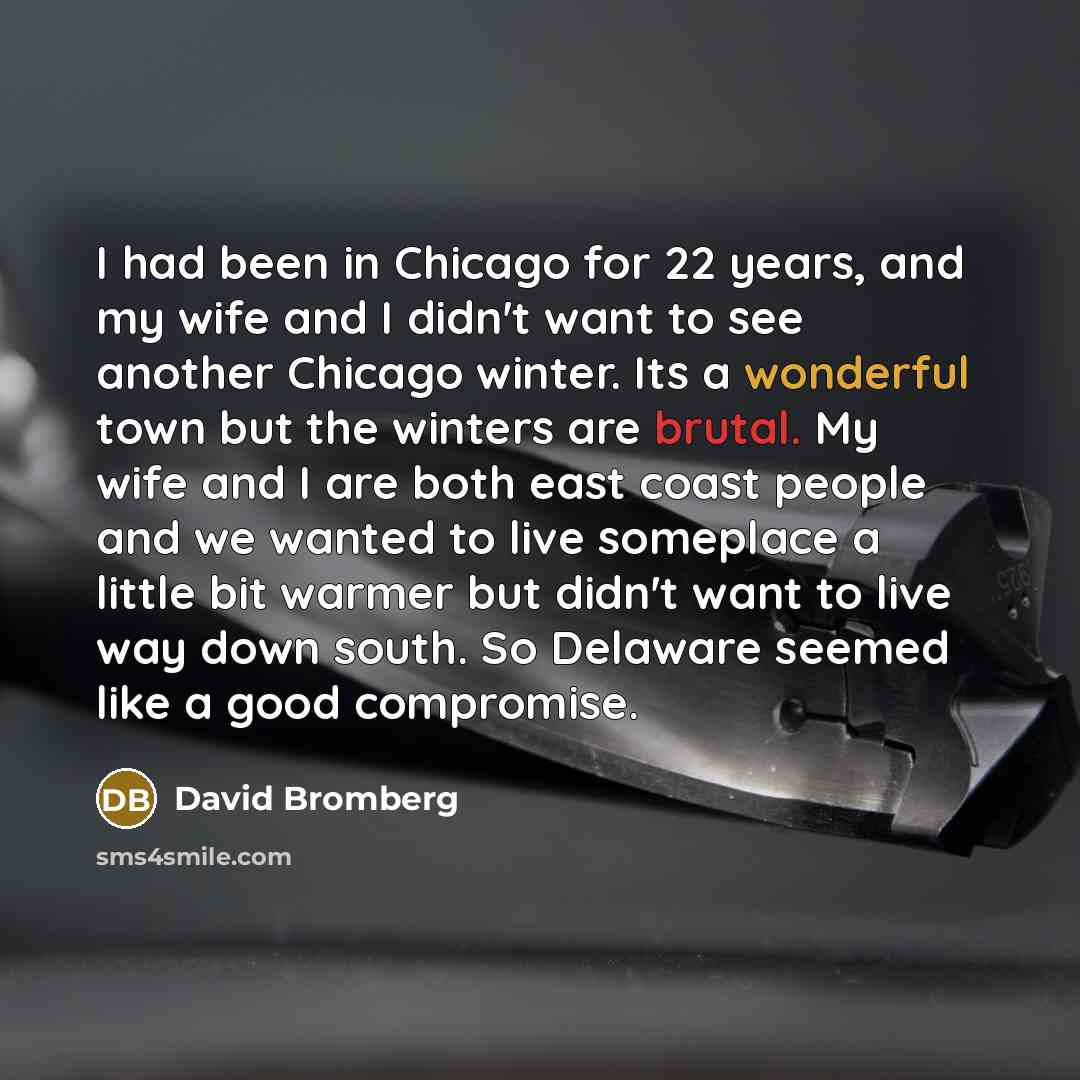 “I had been in Chicago for 22 years, and my wife and I didn't want to see another Chicago winter. Its a wonderful town but the winters are brutal. My wife and I are both east coast people and we wanted to live someplace a little bit warmer but didn't want to live way down south. So Delaware seemed…” quote by David Bromberg