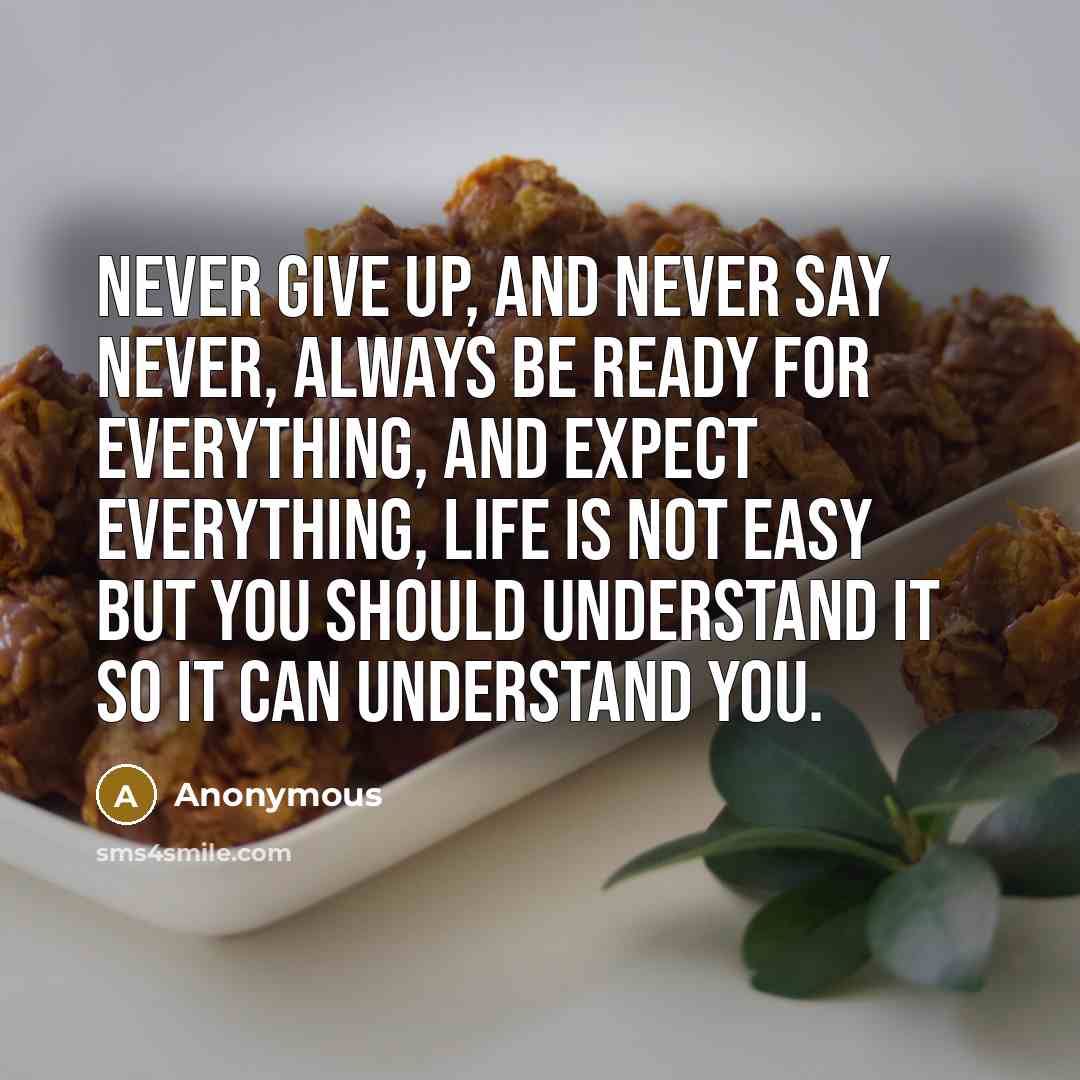 “Never give up, and never say never, always be ready for everything, and expect everything, life is not easy but you should understand it so it can understand you.” quote by Anonymous