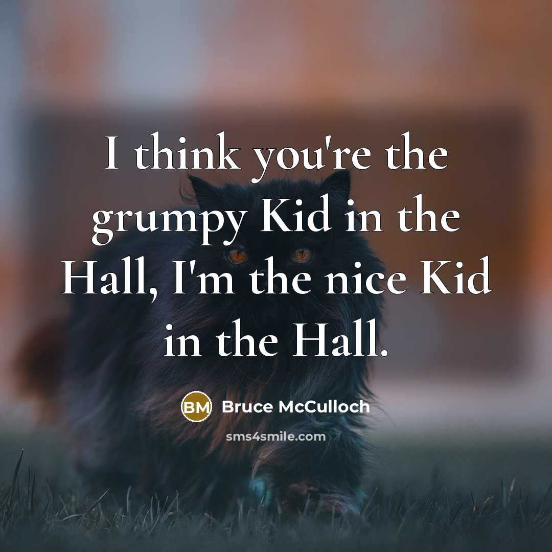 “I think you're the grumpy Kid in the Hall, I'm the nice Kid in the Hall.” quote by Bruce McCulloch