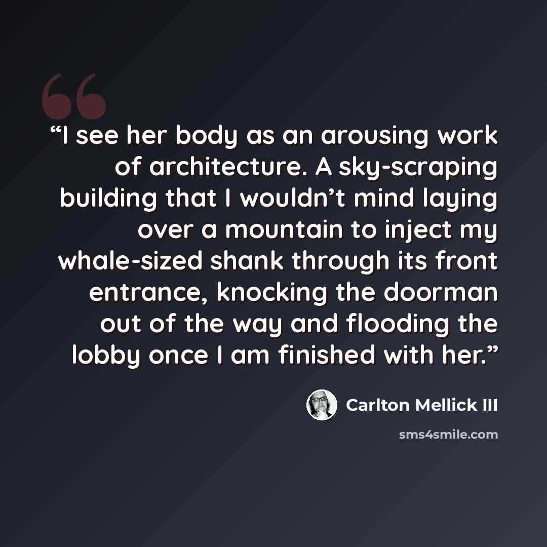 “I see her body as an arousing work of architecture. A sky-scraping building that I wouldn’t mind laying over a mountain to inject my whale-sized shank through its front entrance, knocking the doorman out of the way and flooding the lobby once I am finished with her.” quote by Carlton Mellick III