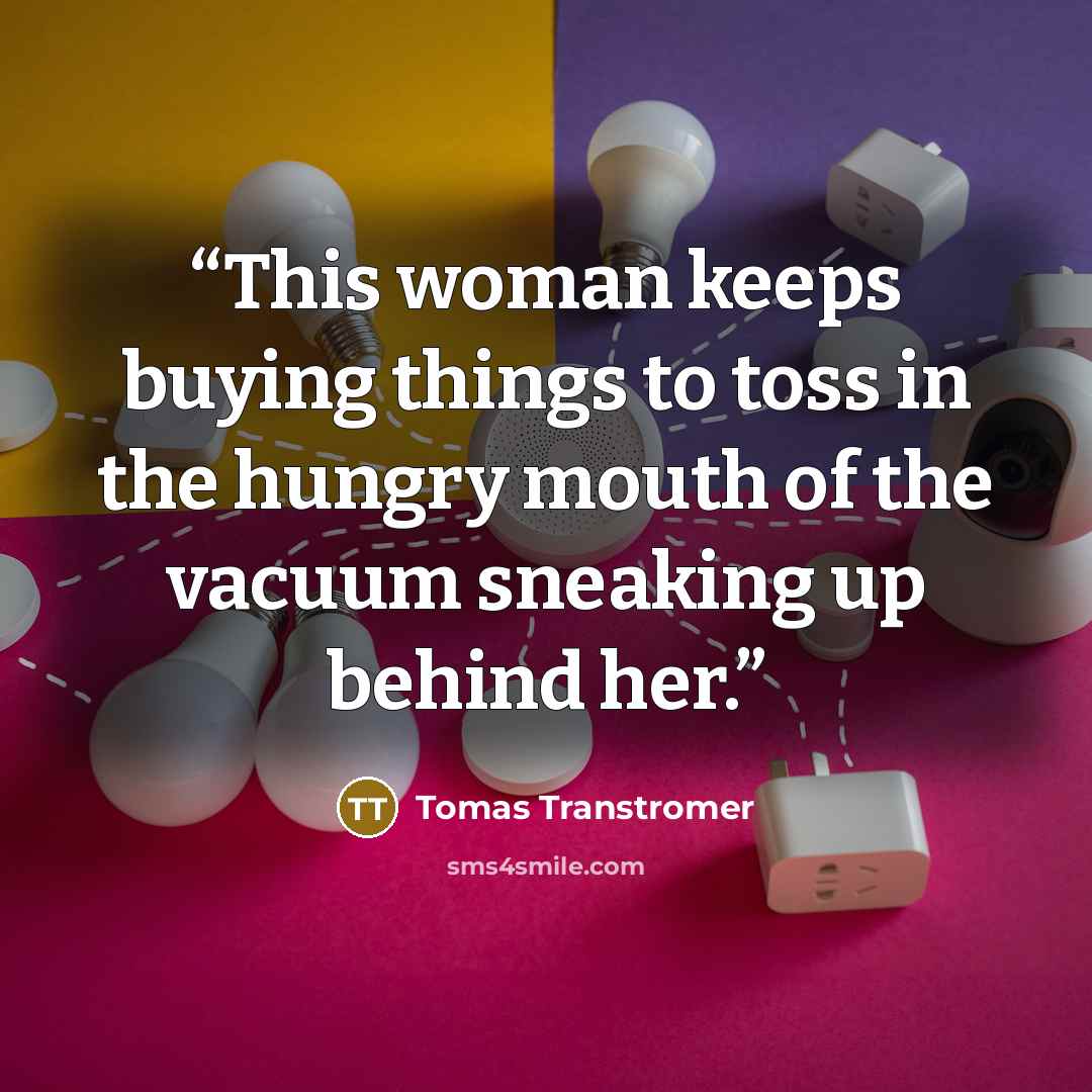 “This woman keeps buying things to toss in the hungry mouth of the vacuum sneaking up behind her.” quote by Tomas Tranströmer