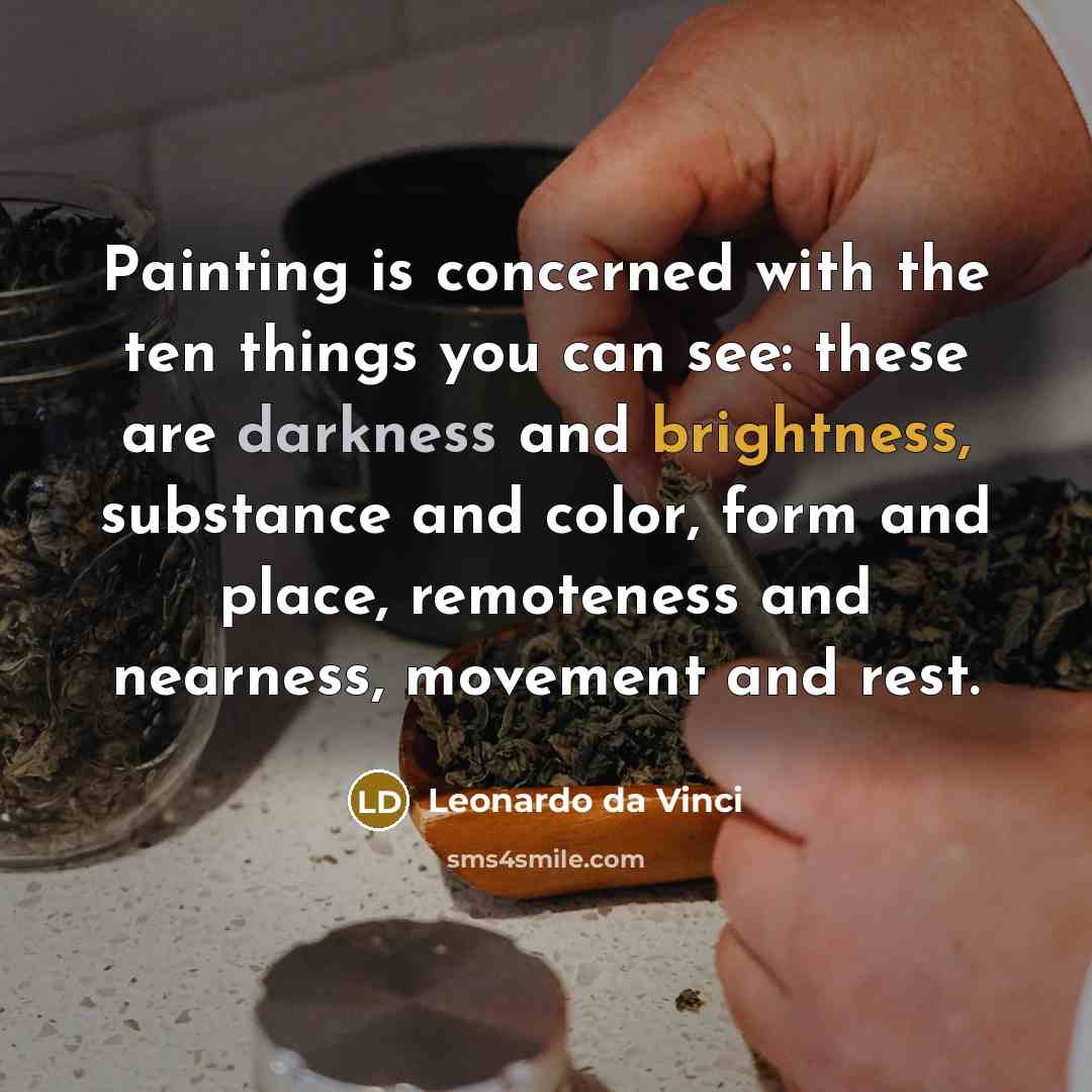 “Painting is concerned with the ten things you can see: these are darkness and brightness, substance and color, form and place, remoteness and nearness, movement and rest.” quote by Leonardo da Vinci