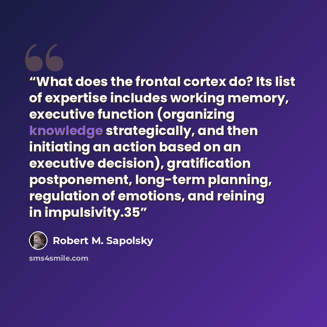 “What does the frontal cortex do? Its list of expertise includes working memory, executive function (organizing knowledge strategically, and then initiating an action based on an executive decision), gratification postponement, long-term planning, regulation of emotions, and reining in impulsivity.35” quote by Robert M. Sapolsky
