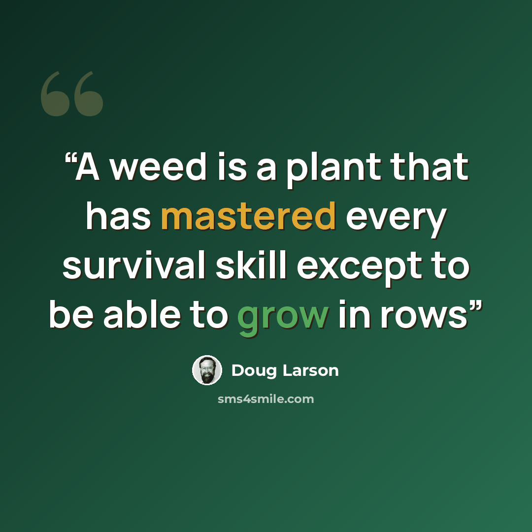 “A weed is a plant that has mastered every survival skill except to be able to grow in rows” quote by Doug Larson
