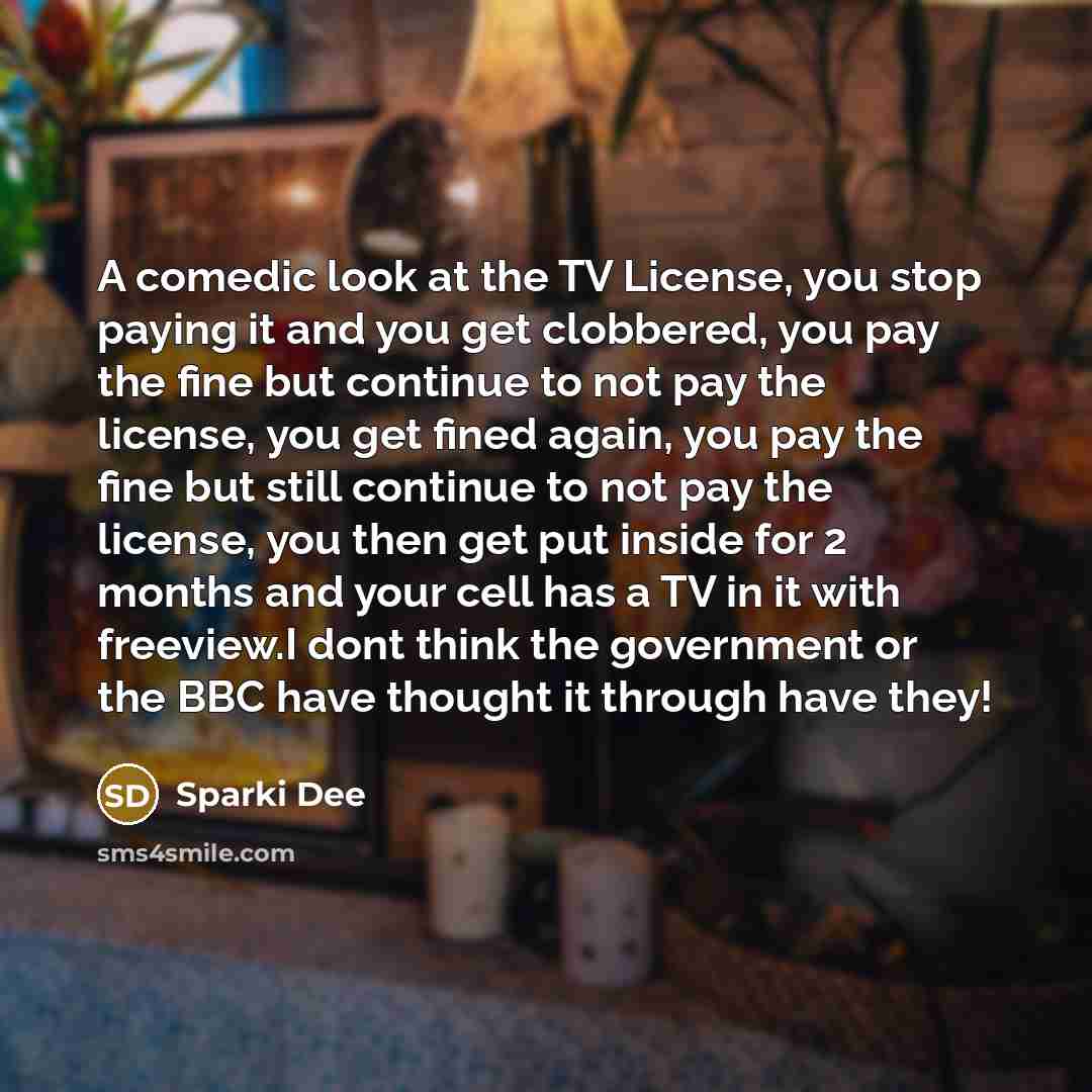 “A comedic look at the TV License, you stop paying it and you get clobbered, you pay the fine but continue to not pay the license, you get fined again, you pay the fine but still continue to not pay the license, you then get put inside for 2 months and your cell has a TV in it with freeview.I dont…” quote by Sparki Dee