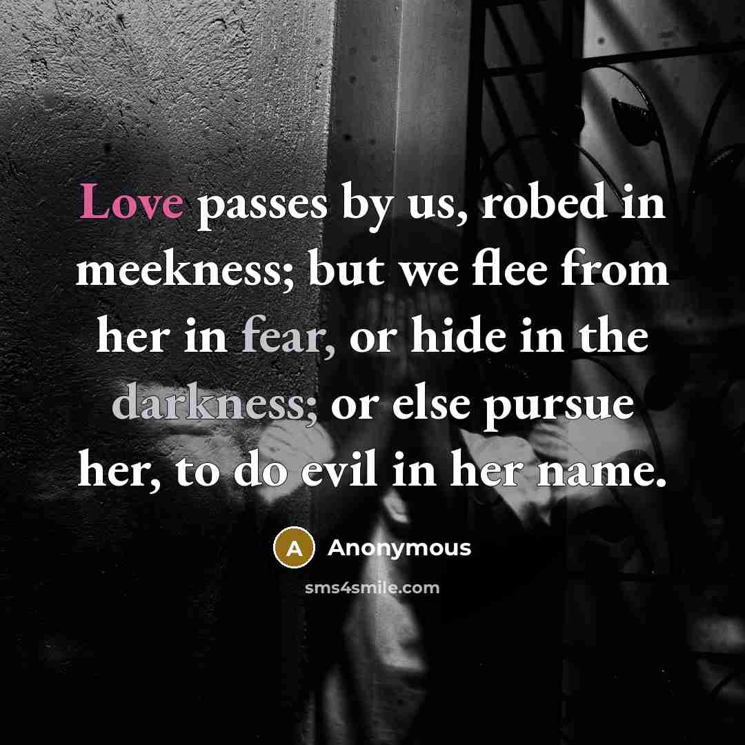 “Love passes by us, robed in meekness; but we flee from her in fear, or hide in the darkness; or else pursue her, to do evil in her name.” quote by Anonymous