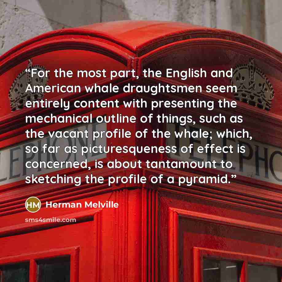 “For the most part, the English and American whale draughtsmen seem entirely content with presenting the mechanical outline of things, such as the vacant profile of the whale; which, so far as picturesqueness of effect is concerned, is about tantamount to sketching the profile of a pyramid.” quote by Herman Melville