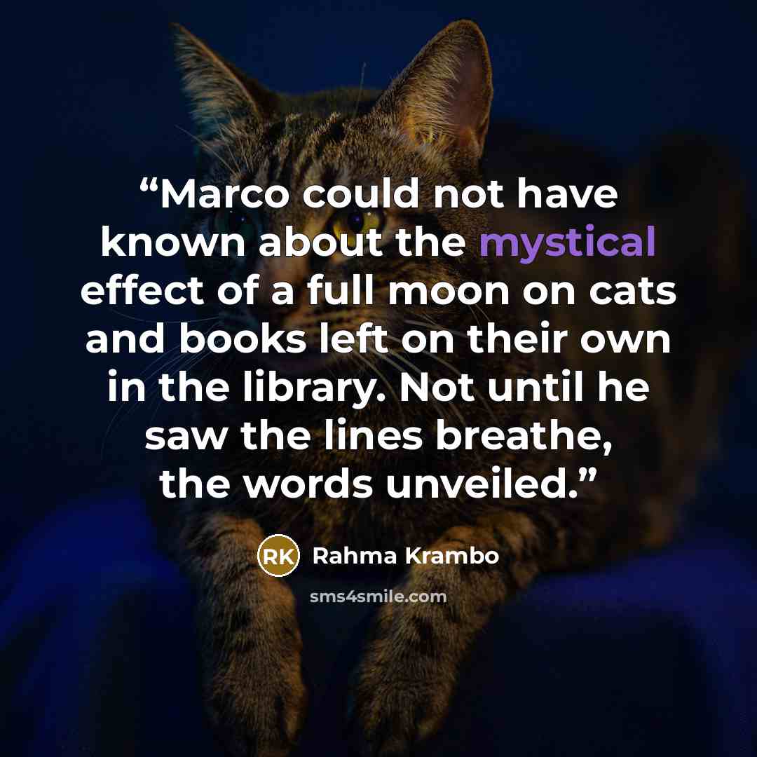 “Marco could not have known about the mystical effect of a full moon on cats and books left on their own in the library. Not until he saw the lines breathe, the words unveiled.” quote by Rahma Krambo