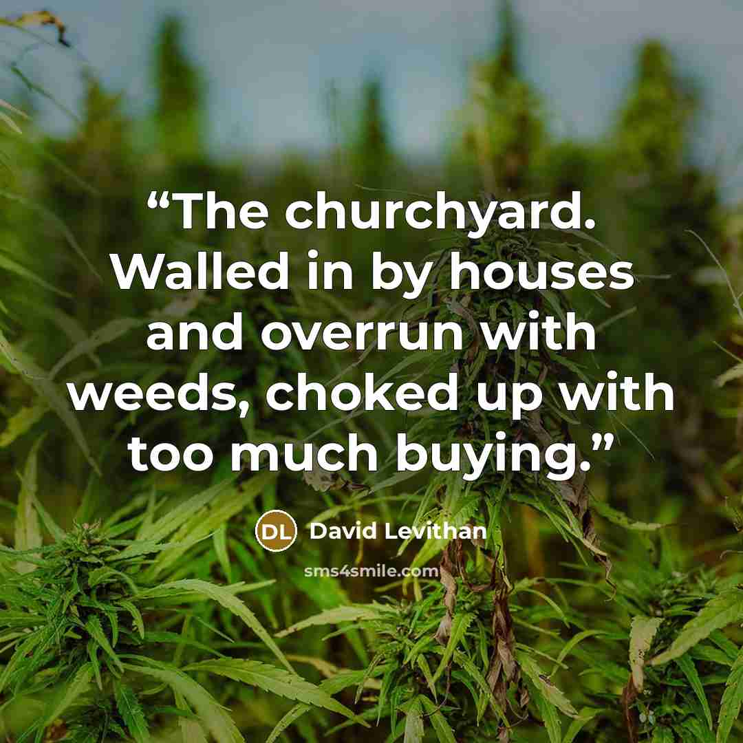 “The churchyard. Walled in by houses and overrun with weeds, choked up with too much buying.” quote by David Levithan