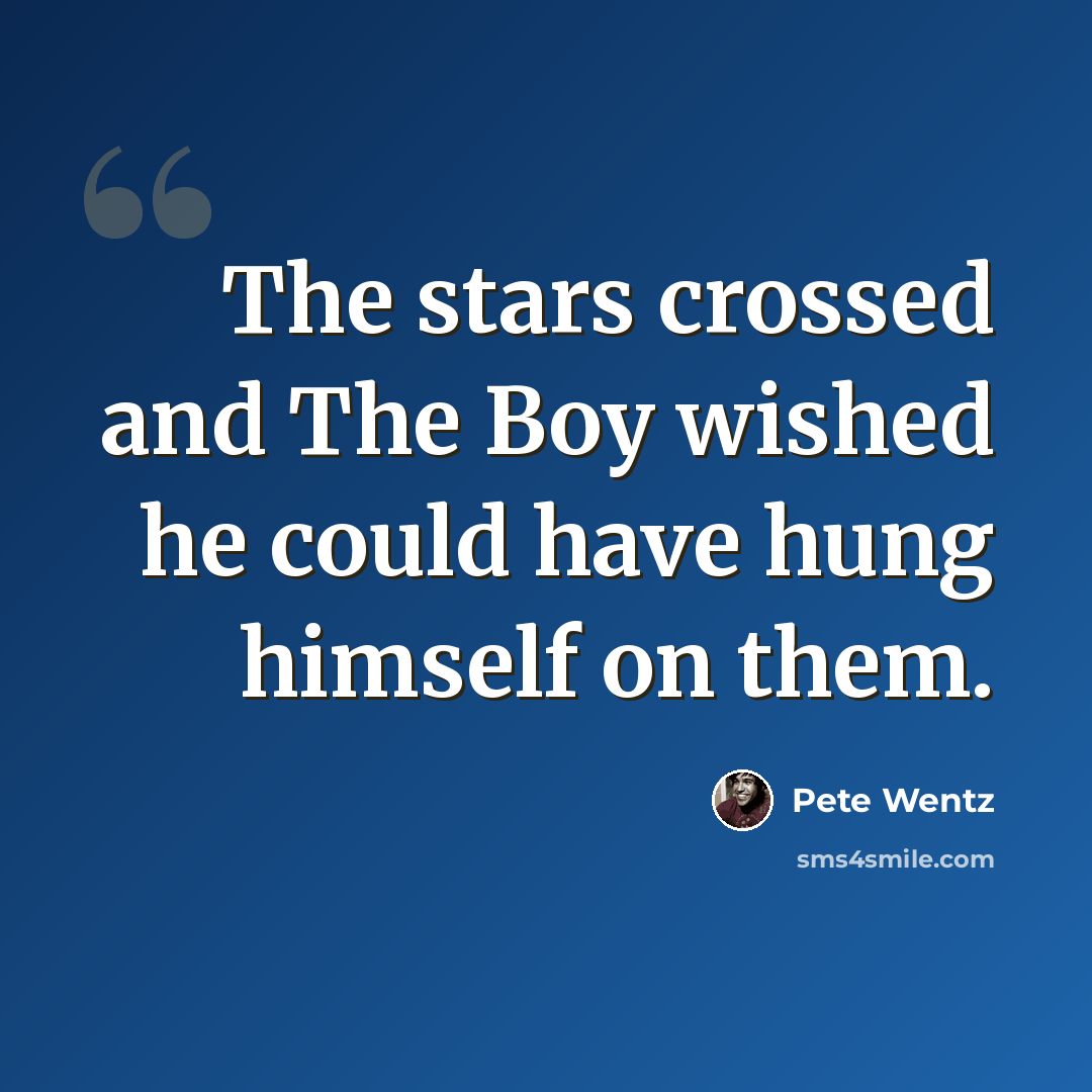 “The stars crossed and The Boy wished he could have hung himself on them.” quote by Pete Wentz