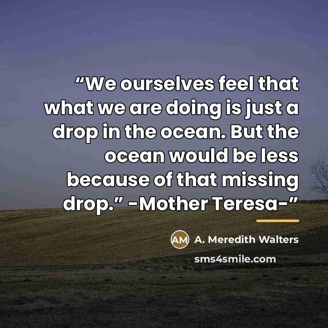 “We ourselves feel that what we are doing is just a drop in the ocean. But the ocean would be less because of that missing drop.” -Mother Teresa-” quote by A. Meredith Walters