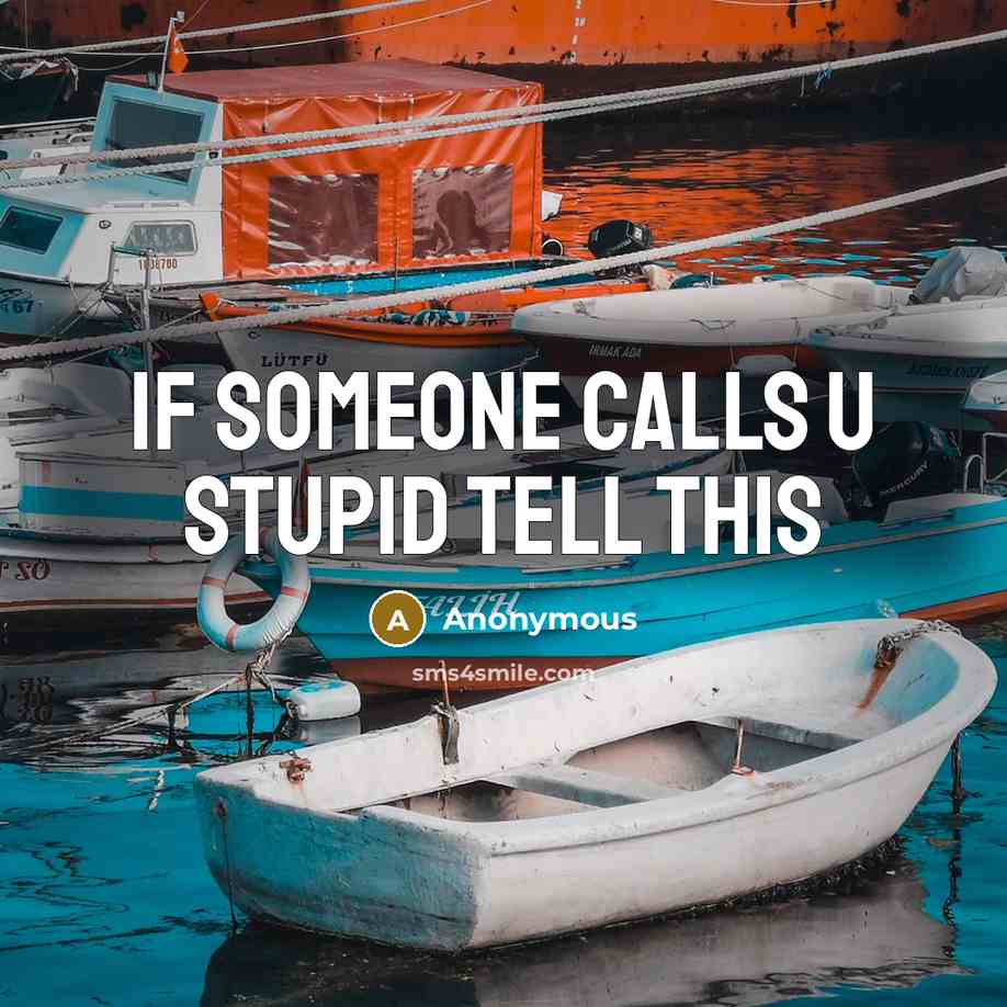 “If someone calls u stupid tell this” quote by Anonymous