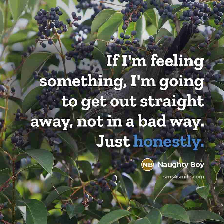 “If I'm feeling something, I'm going to get out straight away, not in a bad way. Just honestly.” quote by Naughty Boy