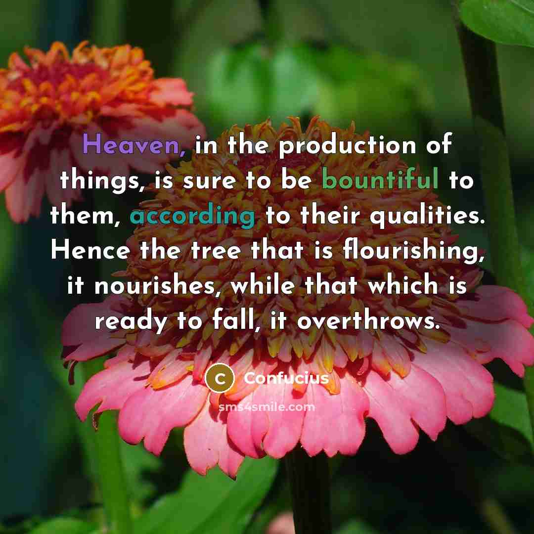 “Heaven, in the production of things, is sure to be bountiful to them, according to their qualities. Hence the tree that is flourishing, it nourishes, while that which is ready to fall, it overthrows.” quote by Confucius