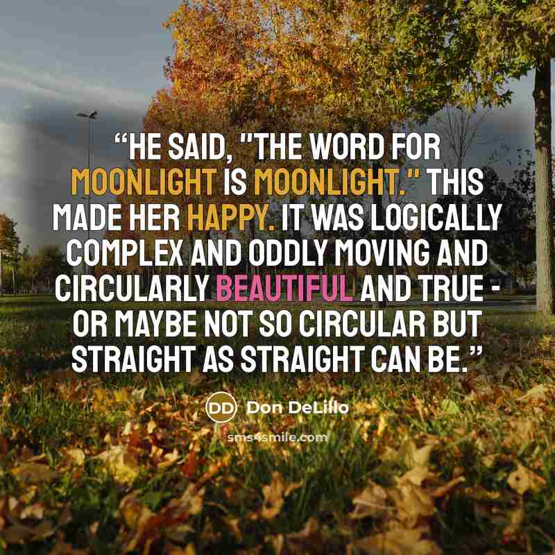 “He said, "The word for moonlight is moonlight." This made her happy. It was logically complex and oddly moving and circularly beautiful and true - or maybe not so circular but straight as straight can be.” quote by Don DeLillo