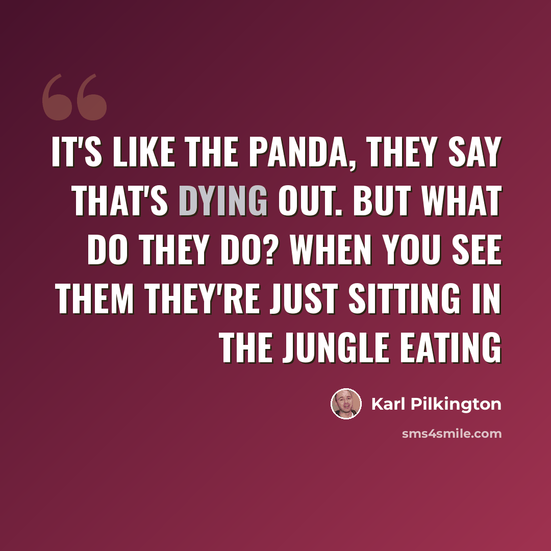 “It's like the panda, they say that's dying out. But what do they do? When you see them they're just sitting in the jungle eating” quote by Karl Pilkington