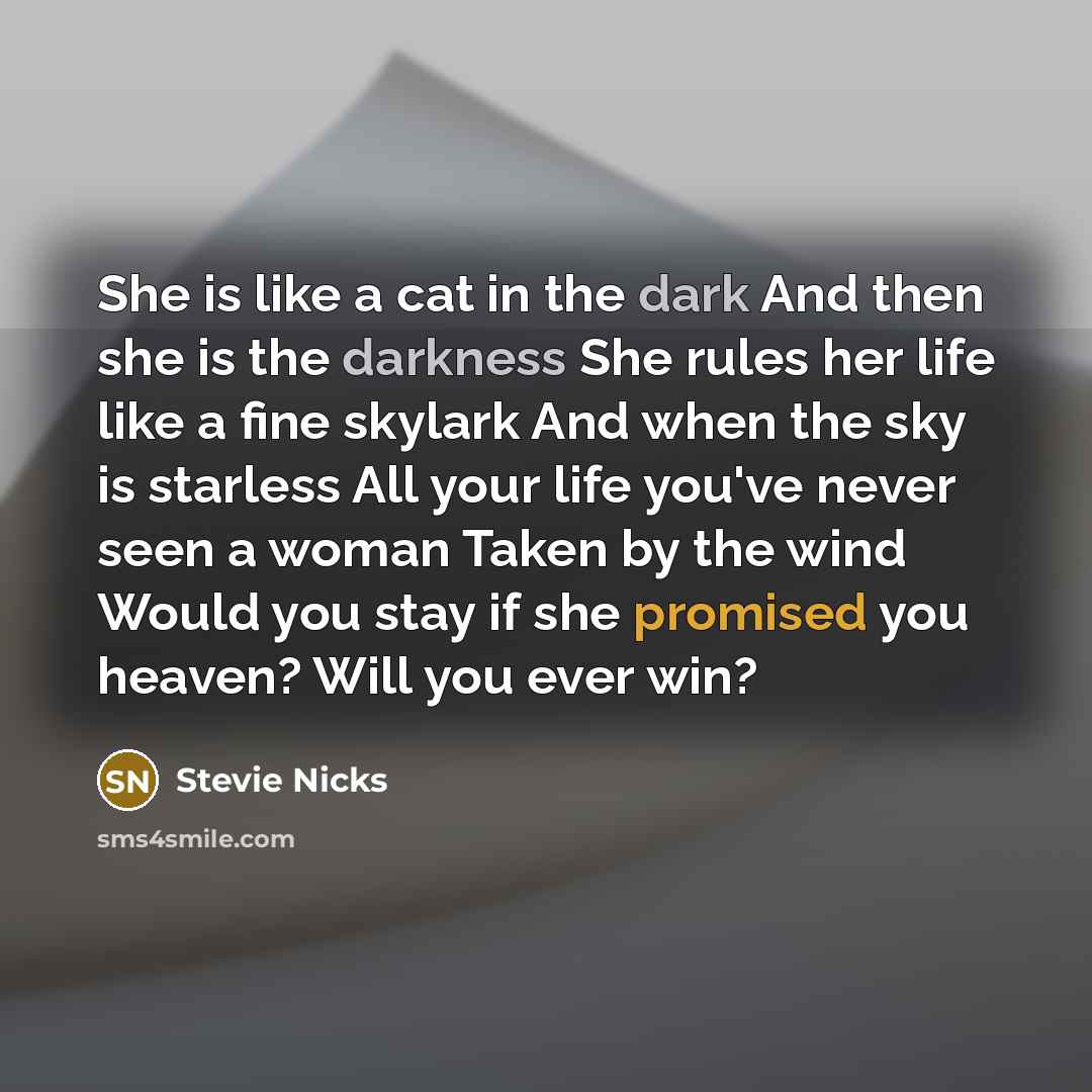 “She is like a cat in the dark And then she is the darkness She rules her life like a fine skylark And when the sky is starless All your life you've never seen a woman Taken by the wind Would you stay if she promised you heaven? Will you ever win?” quote by Stevie Nicks