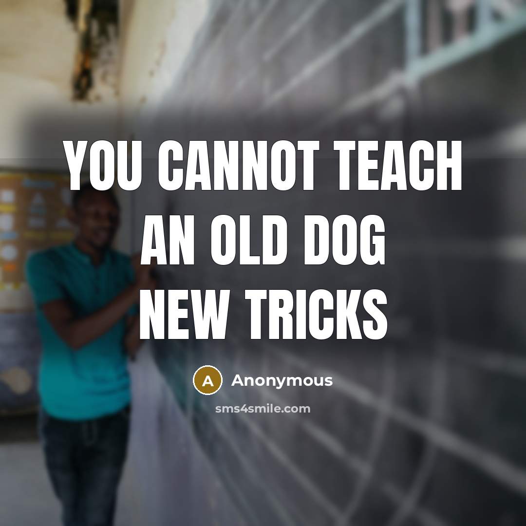 “You cannot teach an old dog new tricks” quote by Anonymous