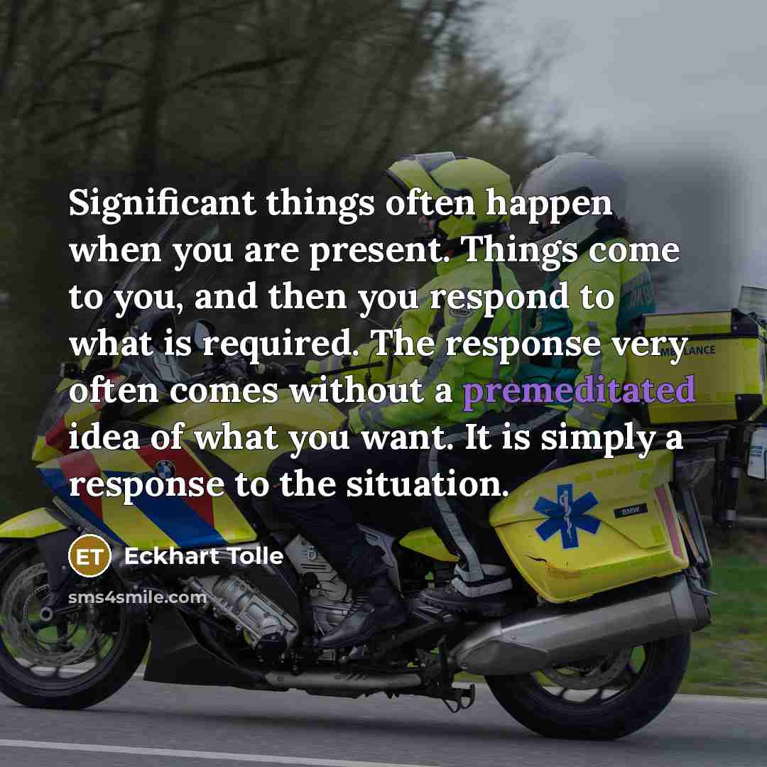 “Significant things often happen when you are present. Things come to you, and then you respond to what is required. The response very often comes without a premeditated idea of what you want. It is simply a response to the situation.” quote by Eckhart Tolle