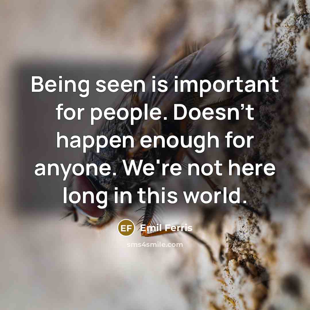 “Being seen is important for people. Doesn't happen enough for anyone. We're not here long in this world.” quote by Emil Ferris