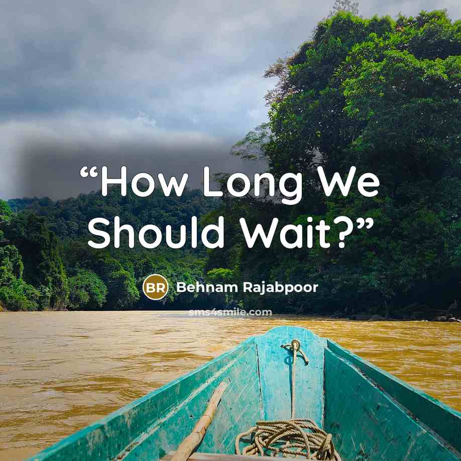 “How Long We Should Wait?” quote by Behnam Rajabpoor