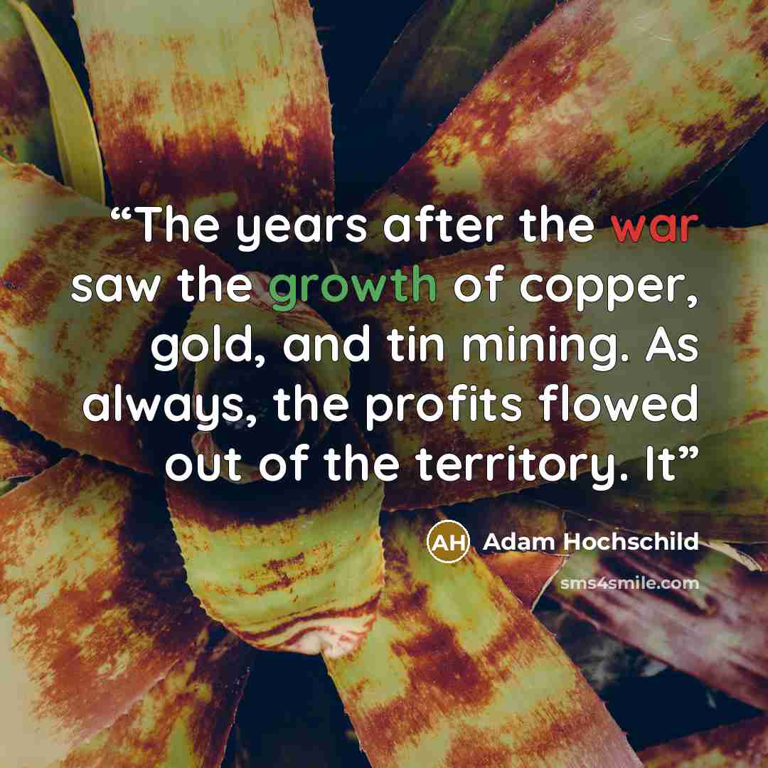 “The years after the war saw the growth of copper, gold, and tin mining. As always, the profits flowed out of the territory. It” quote by Adam Hochschild