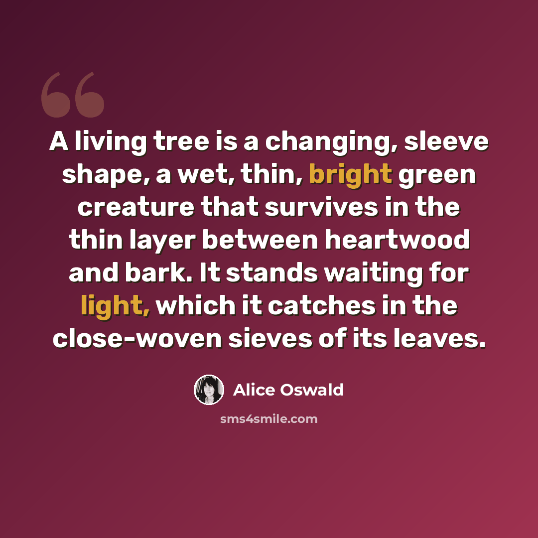 “A living tree is a changing, sleeve shape, a wet, thin, bright green creature that survives in the thin layer between heartwood and bark. It stands waiting for light, which it catches in the close-woven sieves of its leaves.” quote by Alice Oswald