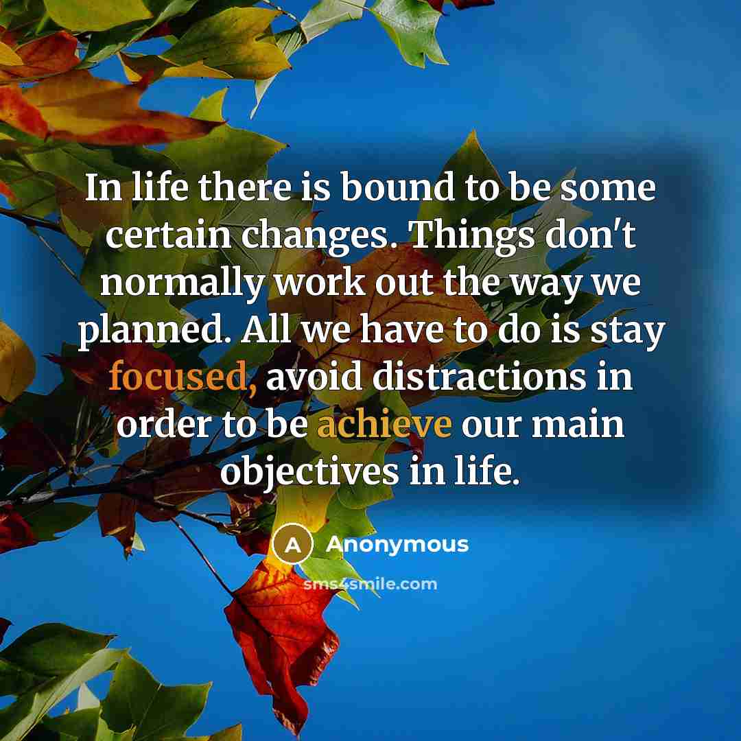 “In life there is bound to be some certain changes. Things don't normally work out the way we planned. All we have to do is stay focused, avoid distractions in order to be achieve our main objectives in life.” quote by Anonymous