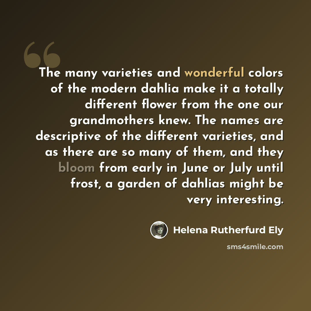 “The many varieties and wonderful colors of the modern dahlia make it a totally different flower from the one our grandmothers knew. The names are descriptive of the different varieties, and as there are so many of them, and they bloom from early in June or July until frost, a garden of dahlias…” quote by Helena Rutherfurd Ely