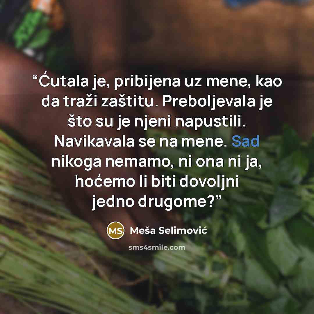 “Ćutala je, pribijena uz mene, kao da traži zaštitu. Preboljevala je što su je njeni napustili. Navikavala se na mene. Sad nikoga nemamo, ni ona ni ja, hoćemo li biti dovoljni jedno drugome?” quote by Meša Selimović