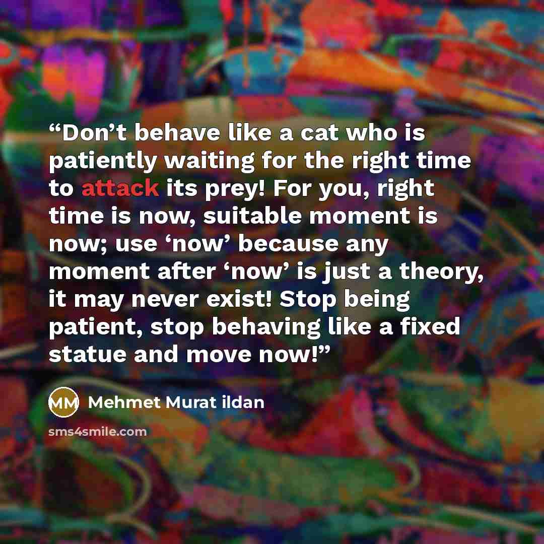 “Don’t behave like a cat who is patiently waiting for the right time to attack its prey! For you, right time is now, suitable moment is now; use ‘now’ because any moment after ‘now’ is just a theory, it may never exist! Stop being patient, stop behaving like a fixed statue and move now!” quote by Mehmet Murat ildan