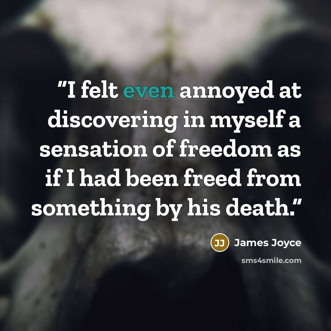 “I felt even annoyed at discovering in myself a sensation of freedom as if I had been freed from something by his death.” quote by James Joyce