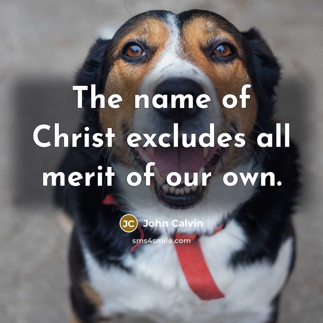 “The name of Christ excludes all merit of our own.” quote by John Calvin