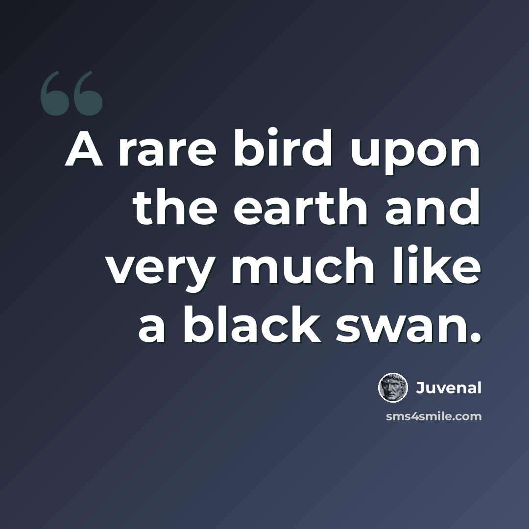 “A rare bird upon the earth and very much like a black swan.” quote by Juvenal