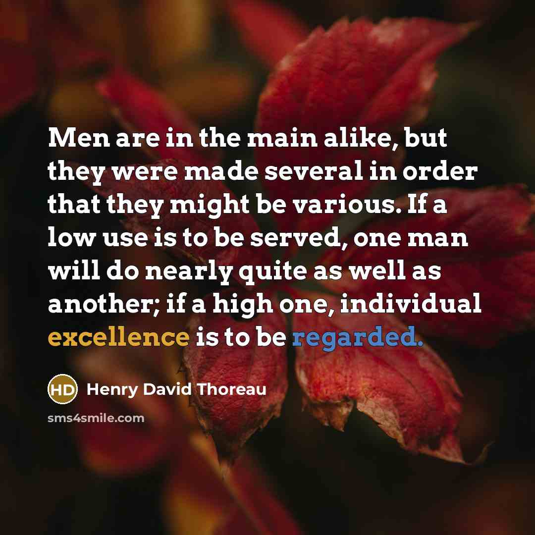 “Men are in the main alike, but they were made several in order that they might be various. If a low use is to be served, one man will do nearly quite as well as another; if a high one, individual excellence is to be regarded.” quote by Henry David Thoreau