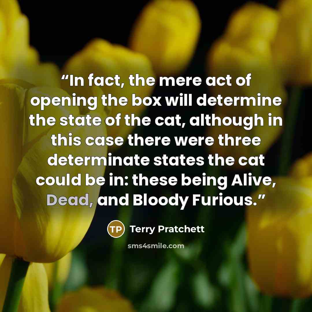“In fact, the mere act of opening the box will determine the state of the cat, although in this case there were three determinate states the cat could be in: these being Alive, Dead, and Bloody Furious.” quote by Terry Pratchett