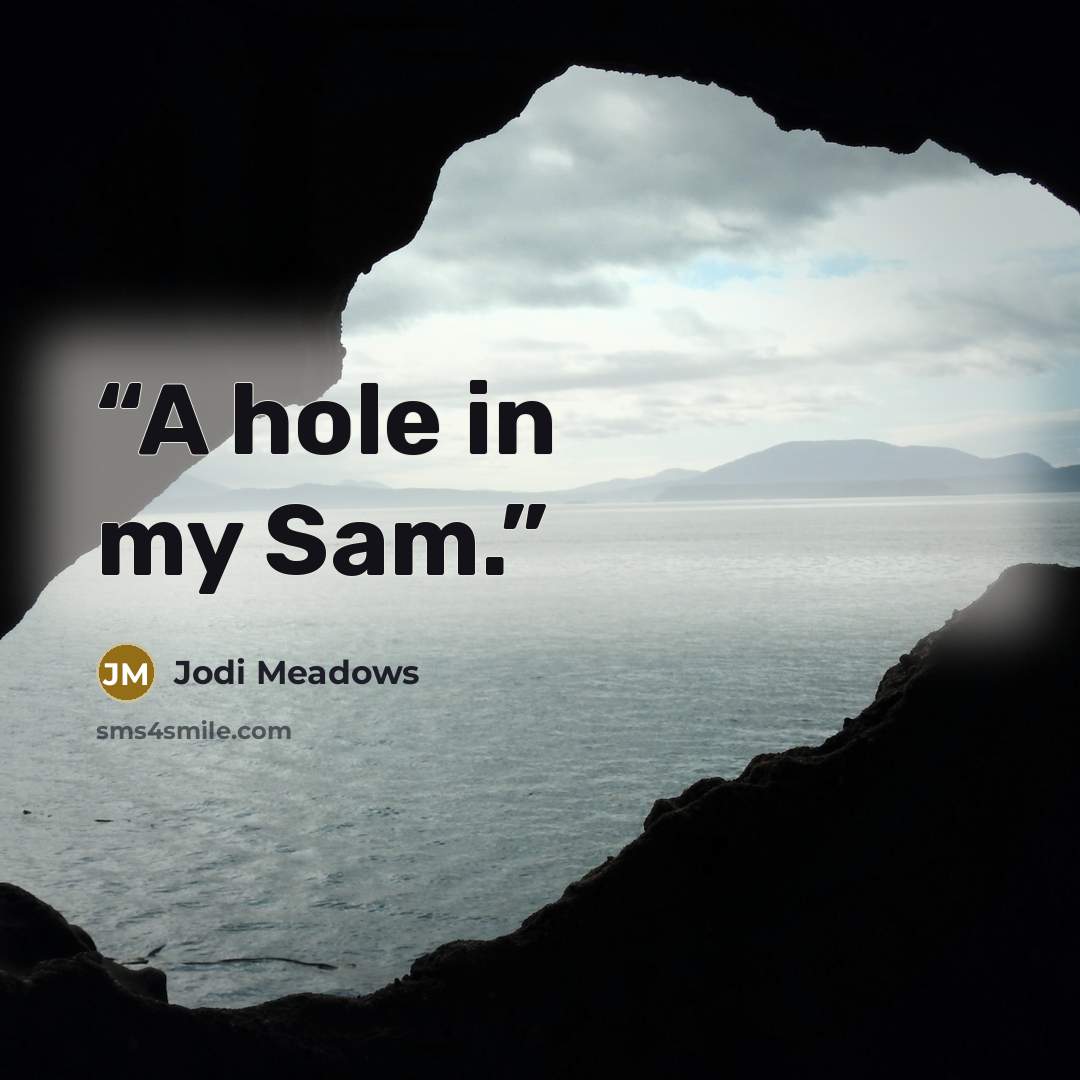 “A hole in my Sam.” quote by Jodi Meadows