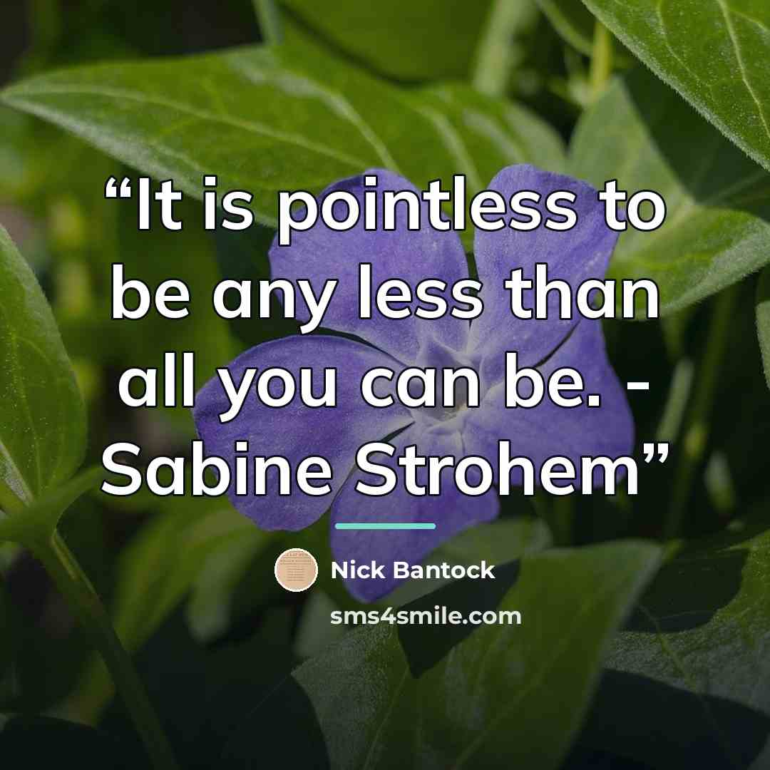 “It is pointless to be any less than all you can be. - Sabine Strohem” quote by Nick Bantock