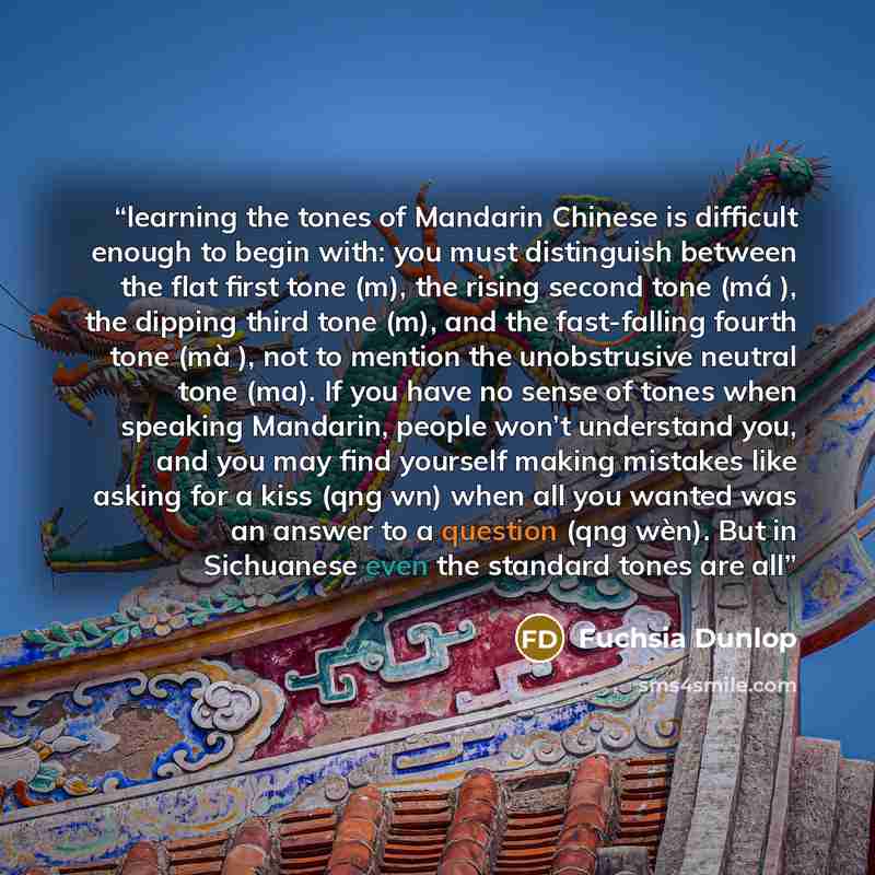 “learning the tones of Mandarin Chinese is difficult enough to begin with: you must distinguish between the flat first tone (m), the rising second tone (má ), the dipping third tone (m), and the fast-falling fourth tone (mà ), not to mention the unobstrusive neutral tone (ma). If you have no sense…” quote by Fuchsia Dunlop