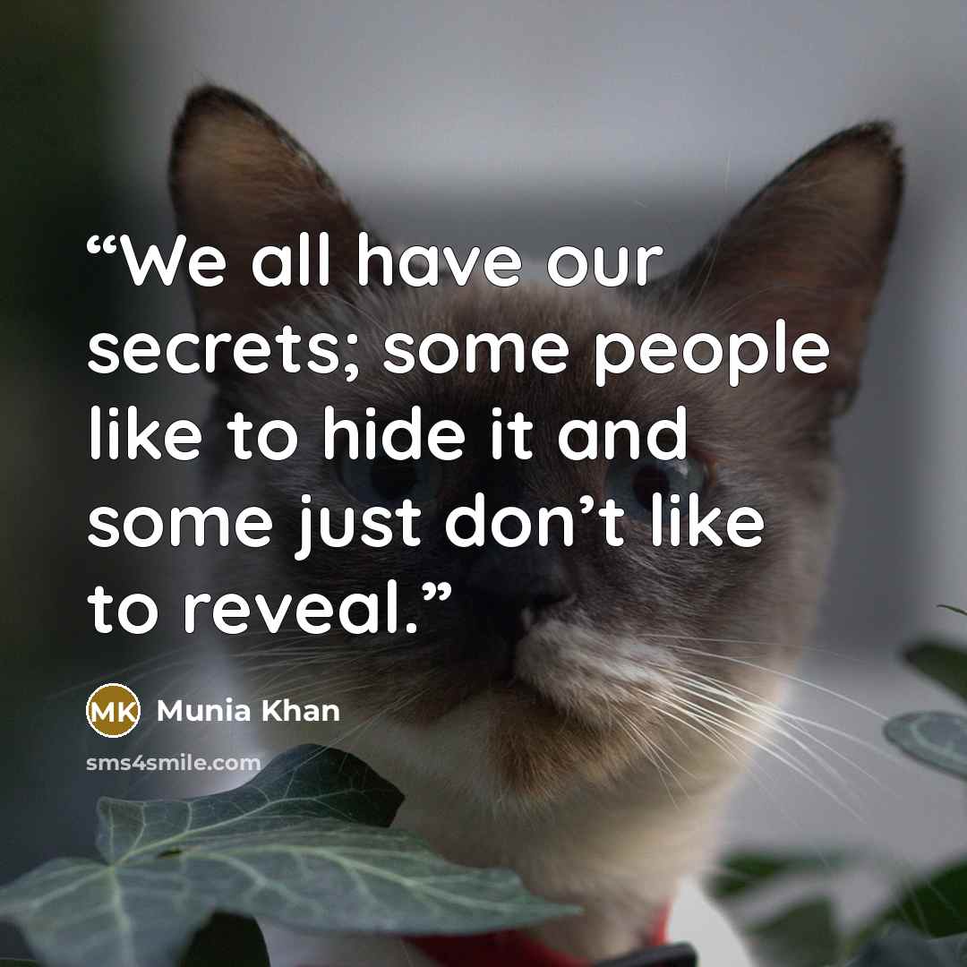 “We all have our secrets; some people like to hide it and some just don’t like to reveal.” quote by Munia Khan