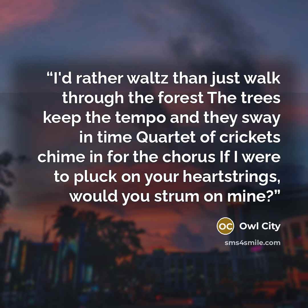 “I'd rather waltz than just walk through the forest The trees keep the tempo and they sway in time Quartet of crickets chime in for the chorus If I were to pluck on your heartstrings, would you strum on mine?” quote by Owl City