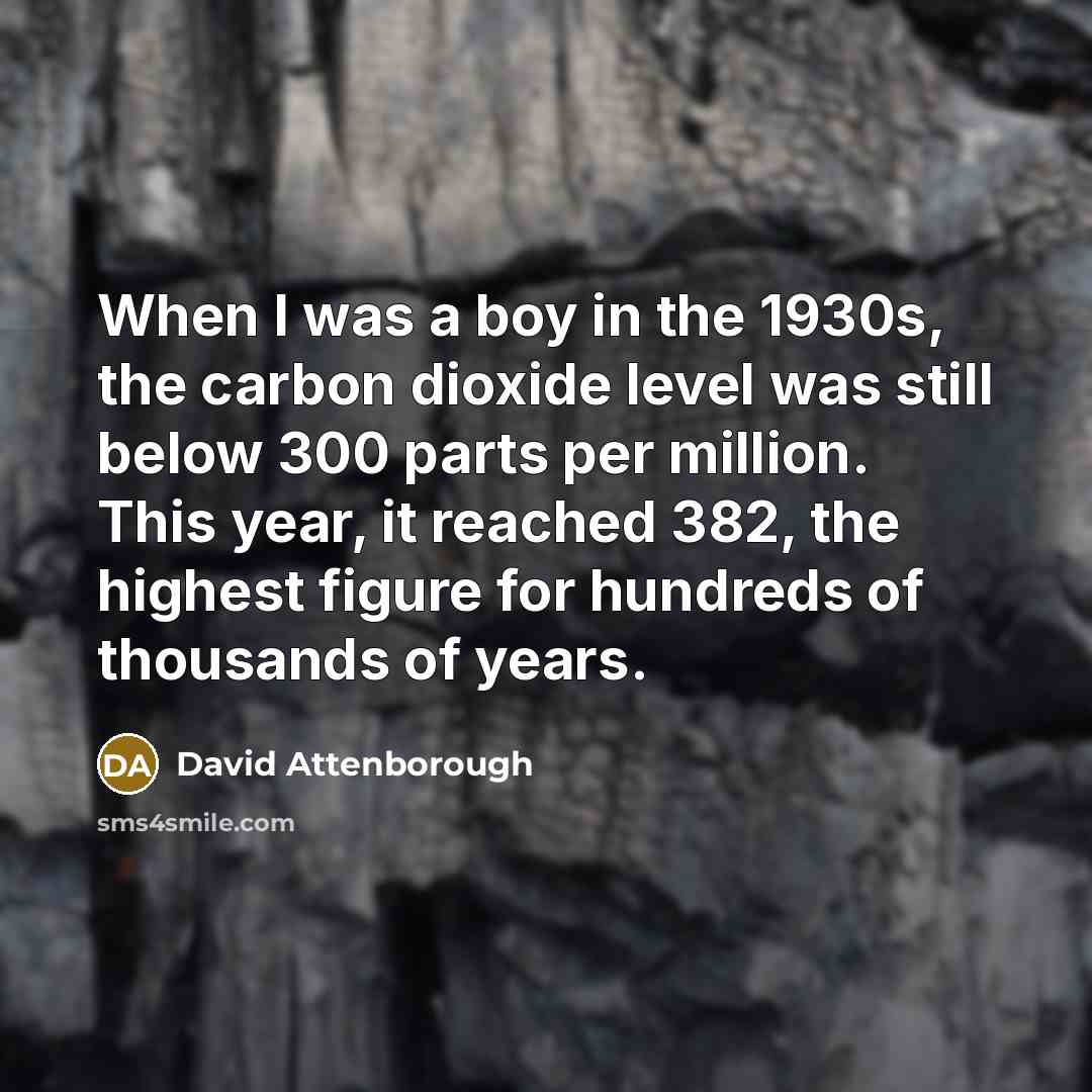 “When I was a boy in the 1930s, the carbon dioxide level was still below 300 parts per million. This year, it reached 382, the highest figure for hundreds of thousands of years.” quote by David Attenborough